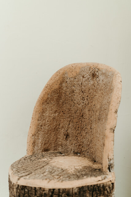 cork oak chair ...