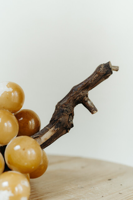 Italian alabaster grapes ... covered with yellow varnish...