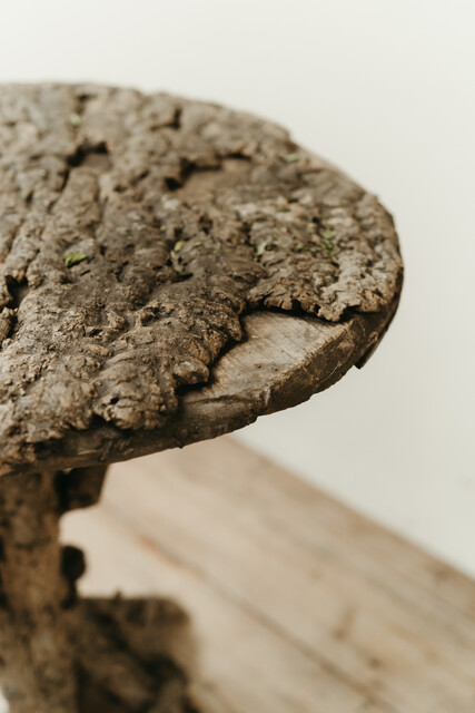 quirky cork on oak occasional table ...