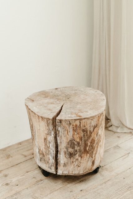 treetrunk table on wheels ...