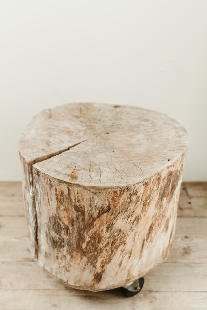 treetrunk table on wheels ...