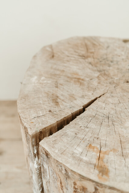 treetrunk table on wheels ...